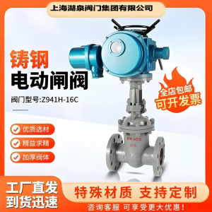 電動(dòng)閘閥z941h-16c  DN150普通開關(guān)型