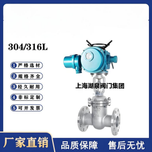 Z941W-16P，DN250，CF8/F304不銹鋼電動閘閥